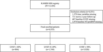 Two-year clinical outcome of patients with mildly reduced ejection fraction after acute myocardial infarction: insights from the prospective KAMIR-NIH Registry